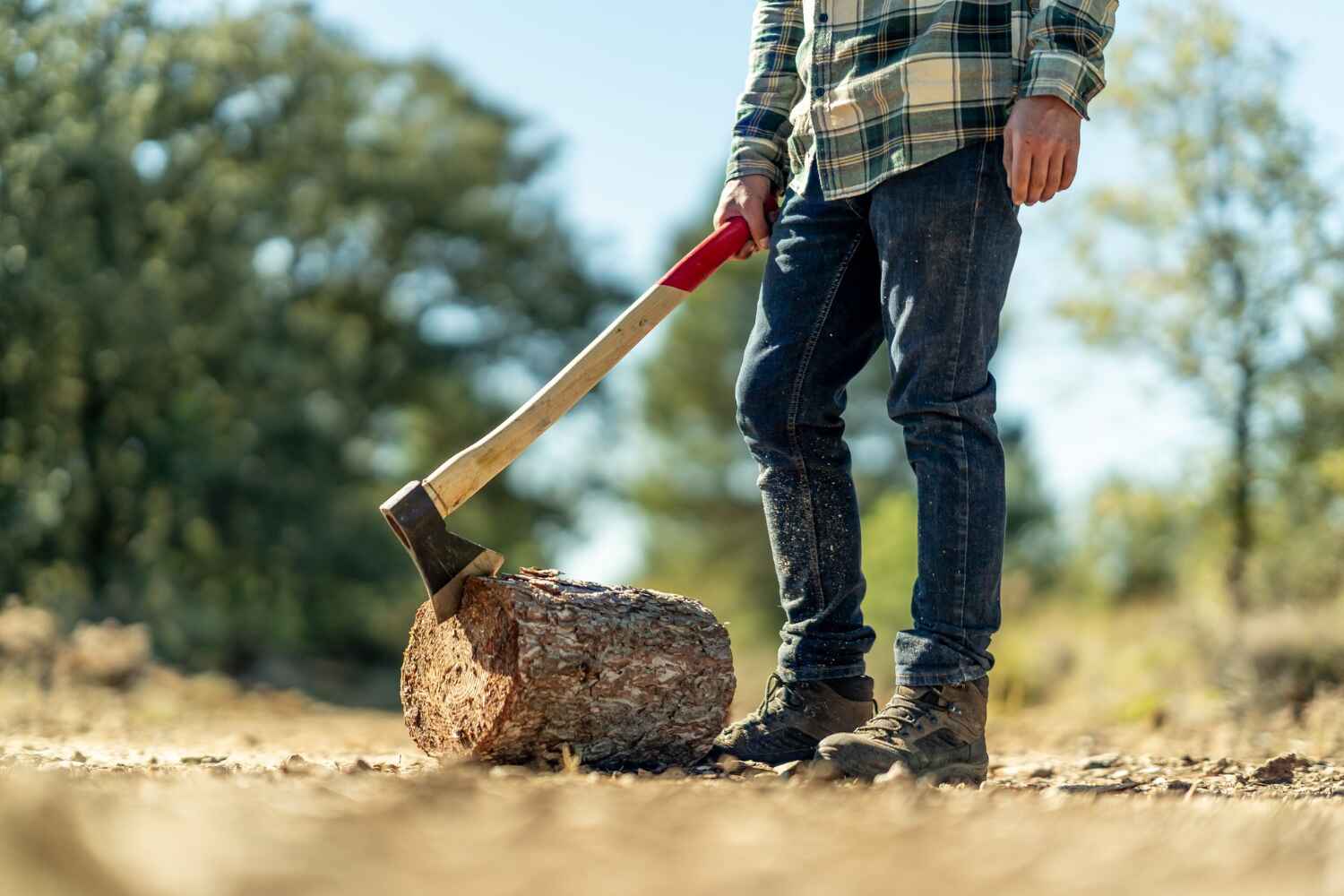 Best Tree Removal Near Me  in Beach City, TX